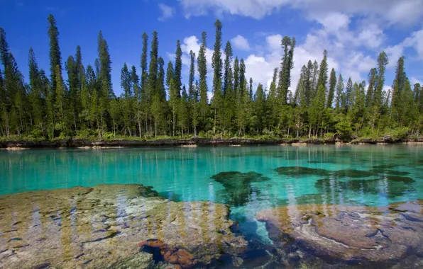 Picture The Pacific ocean, New Caledonia, Isle of pines