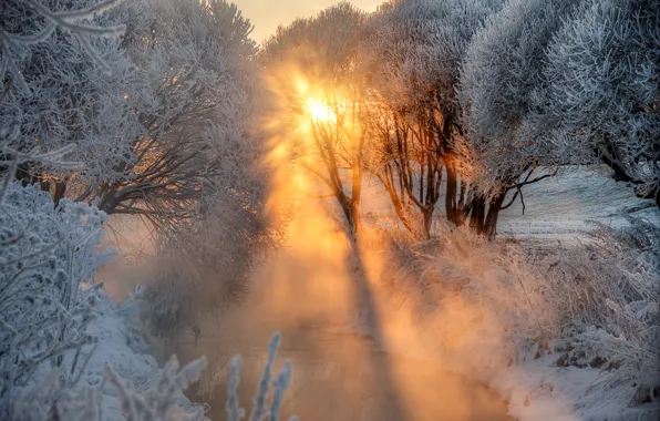 Picture frost, river, dawn, Winter