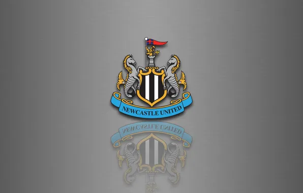 Picture wallpaper, football, England, Newcastle United