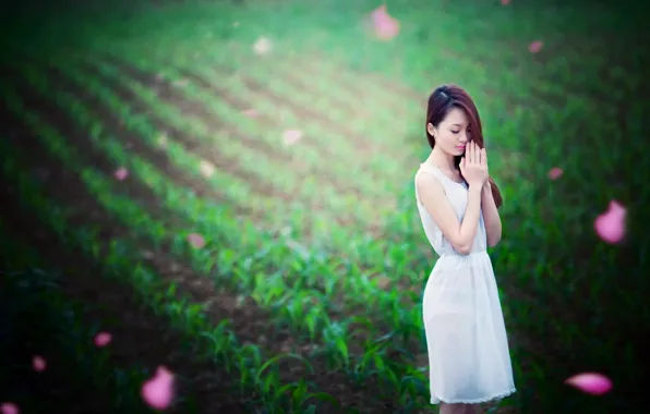 Picture field, girl, Asian