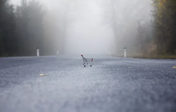 Picture road, fog, stroller