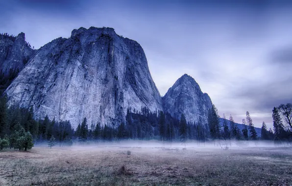 Picture trees, landscape, mountains, nature, fog, USA, USA, Yosemite, Yosemite National Park