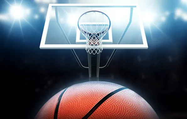 Picture lights, mesh, the ball, ring, shield, basketball