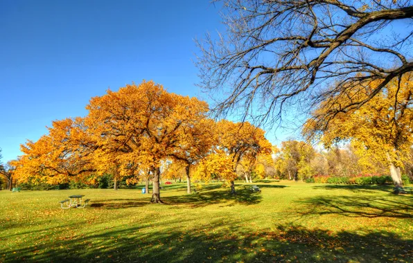 Picture autumn, the sky, trees, Park, bench