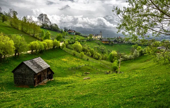 Picture greens, grass, trees, home, Romania, Transylvania