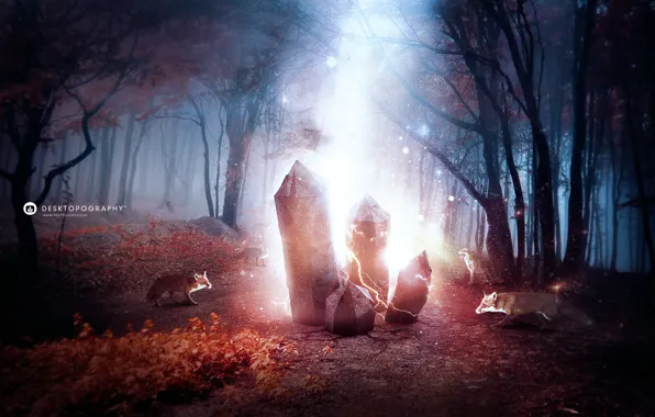 Picture forest, magic, Fox, crystals, desktopography
