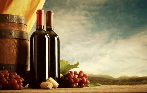 Picture the sky, clouds, landscape, wine, grapes, tube, bottle, barrel