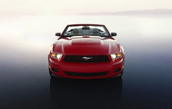 Picture machine, machine, red, widescreen, auto walls, Ford Mustang, ford mustang 2010