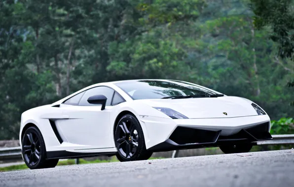 Picture white, front view, Lamborghini, Gallardo, Lamborghini Gallardo LP550-2 &quot;MLE&quot;