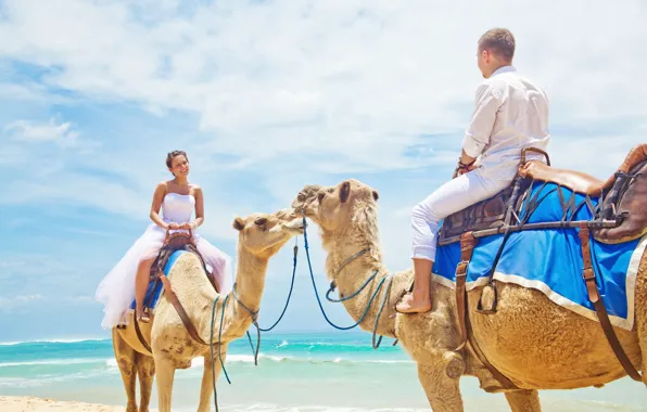 Picture sea, beach, beach, sea, camels, a couple in love, camel, couple in love