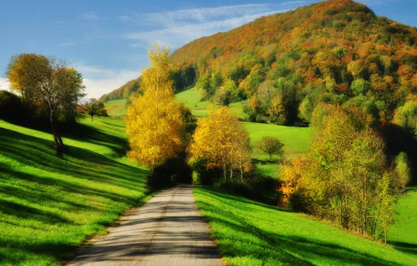 Picture green, road, trees, autumn, hill, shadows, sunlight