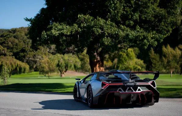 Picture nature, Lamborghini, supercar, rear view, Veneno