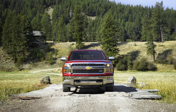 Picture Red, Chevrolet, Forest, Chevrolet, Lights, Pickup, The front, Silverado