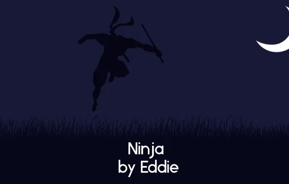 Picture Field, Night, Ninja