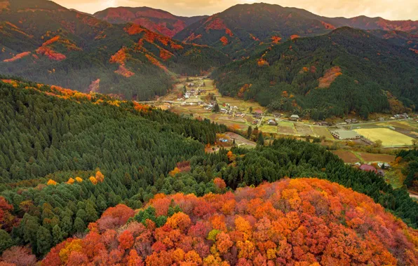 Picture autumn, mountains, nature, Japan, Okayama