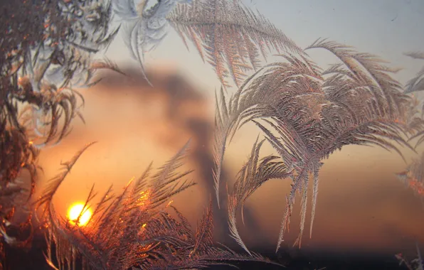 Picture frost, dawn, patterns, window, Different