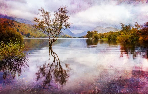 Picture autumn, water, clouds, trees, landscape, mountains, lake, reflection, England, treatment, Wales, Great Britain, Wales, Snowdonia, …
