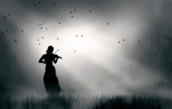 Picture silhouette, violinist, I play my lonely song