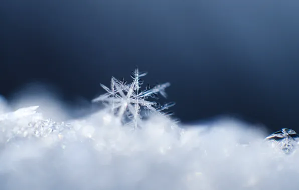 Picture crystal, macro, snow, pattern, snowflake