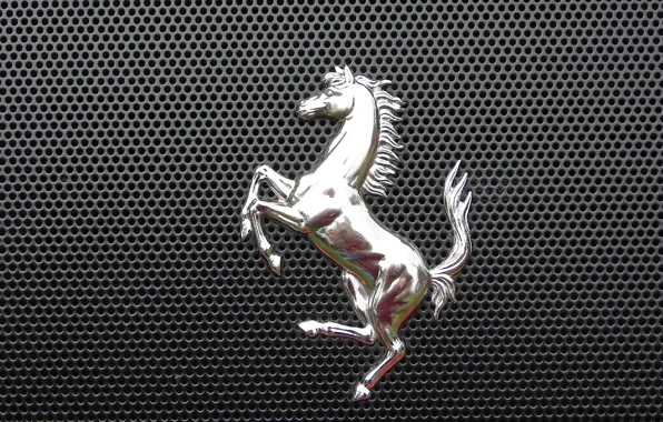 Picture metal, horse, grille, emblem, 2014