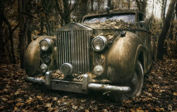 Picture machine, forest, Rolls Royce