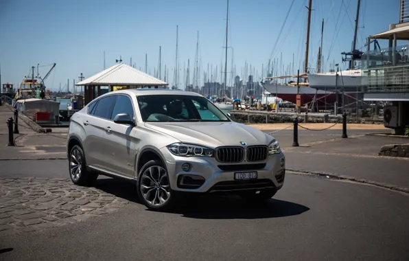 Picture BMW, BMW, X6M, crossover, F16
