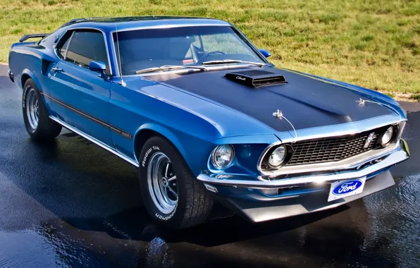 Picture blue, lawn, Mustang, Ford, Ford, 1969, Mustang, muscle car, classic, the front, Muscle car, Mach …