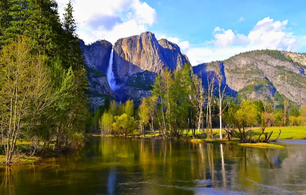 Picture forest, trees, mountains, river, waterfall, CA, USA, Yosemite National Park
