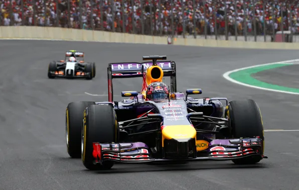 Picture Racer, Formula 1, Brazil, Sebastian Vettel, Champion