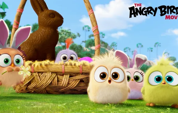 Picture cartoon, chocolate, birds, basket, Bunny, Angry Birds Movie