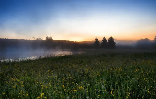 Picture field, landscape, fog, river, morning