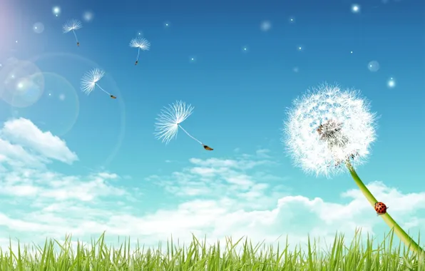 Picture greens, the sky, dandelion