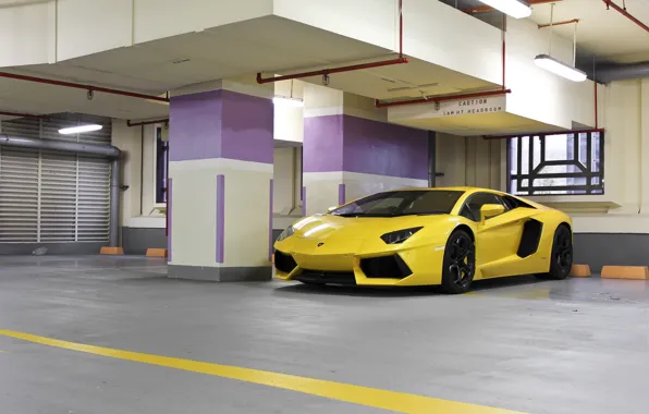 Picture yellow, lamp, lighting, Parking, lamborghini, yellow, aventador, lp700-4, Lamborghini, aventador