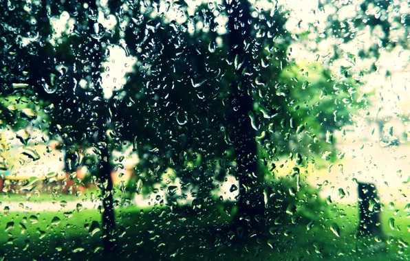 Picture summer, rain, Drops, glass.mood