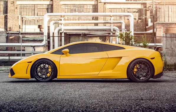 Picture yellow, Lamborghini, profile, Gallardo, Lamborghini, yellow, Gallardo