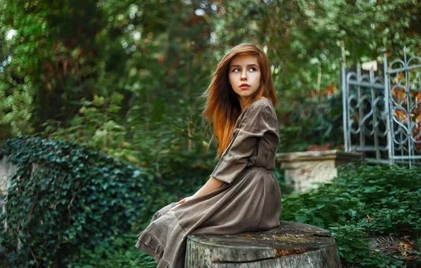 Picture Girl, Look, Forest, Hair, Dress, Stump, Beautiful, Red