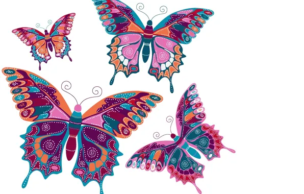 Picture butterfly, background, vector