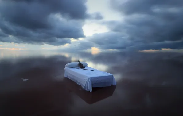 Picture sea, violin, bed
