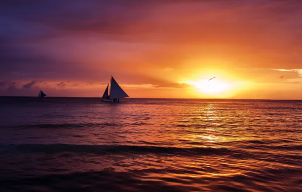 Picture sea, wave, the sky, the sun, landscape, sunset, clouds, nature, mood, sailboat, Seagull, calm
