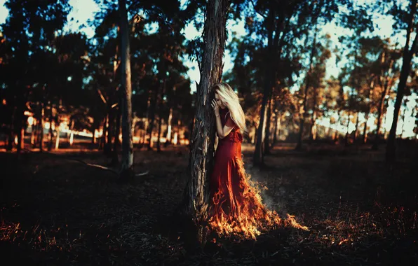 Picture leaves, girl, the sun, trees, branches, fire, hair, red dress
