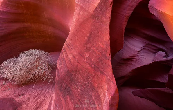 Picture rocks, texture, AZ, USA, Antelope Canyon