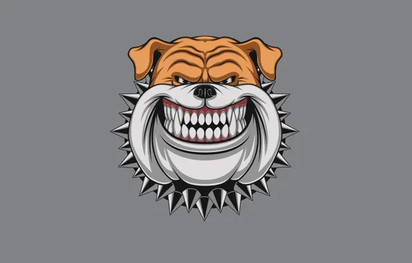 Picture face, dog, minimalism, spikes, collar, dog