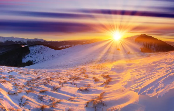 Picture winter, the sun, snow, mountains, dawn