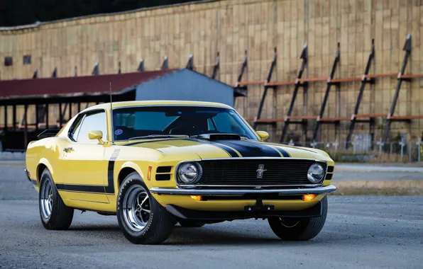 Picture Mustang, Ford, Mustang, Boss 302, Ford, 1970