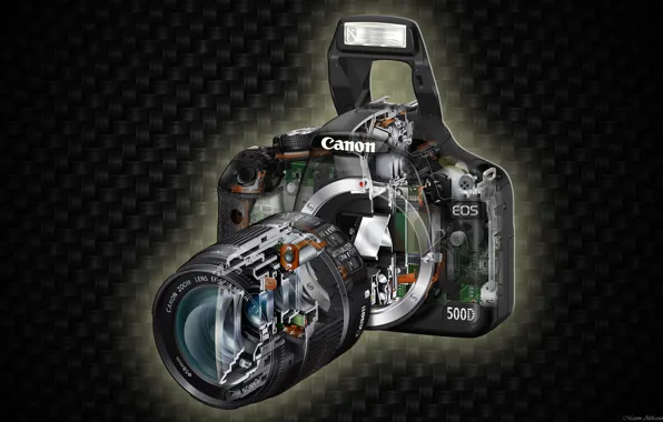 Picture the camera, Canon, EOS 500D