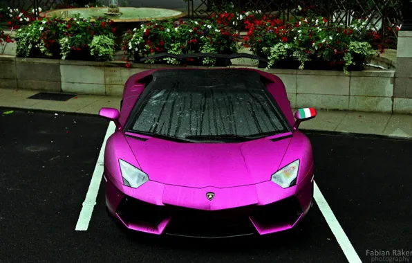 Picture drops, Parking, beauty, Lamborghini LP700-4 Aventador