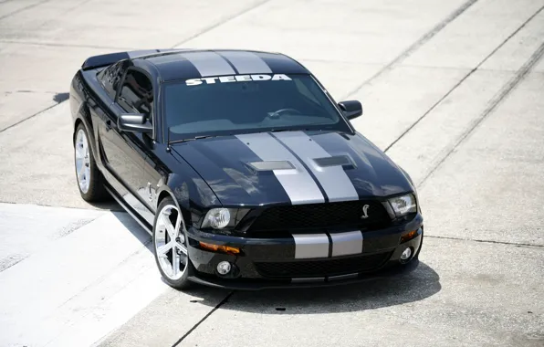 Picture strip, black, mustang, shelby, gt500
