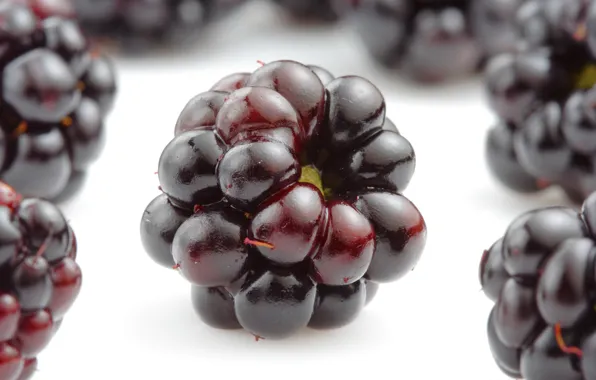 Picture berries, BlackBerry, appetizing, blackberries