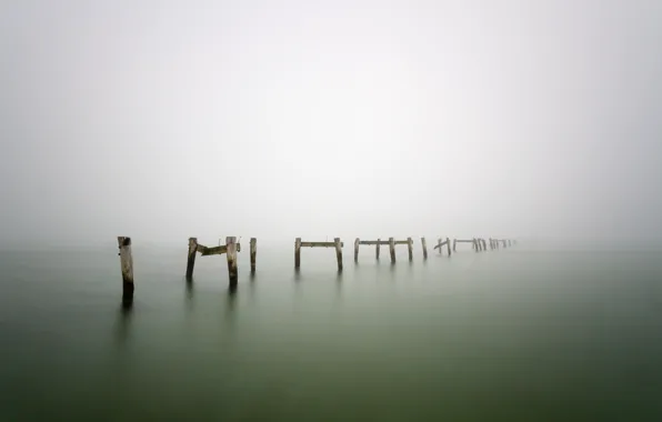 Picture fog, lake, tree, posts, wood, lake, fog, pillars