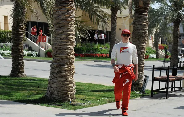 Picture Ferrari, Kimi, Formula 1